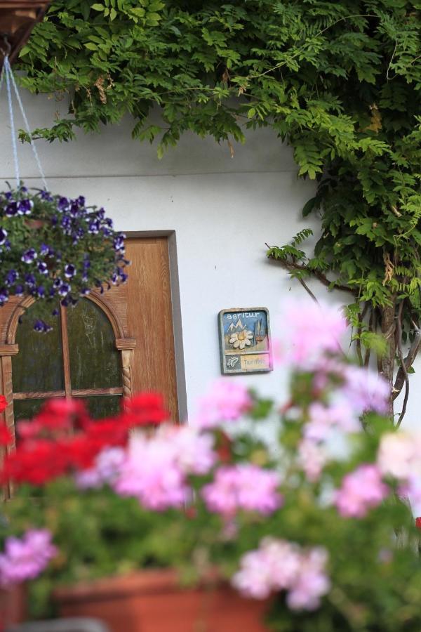 Agriturismo Maso Santa Libera Tesero Dış mekan fotoğraf