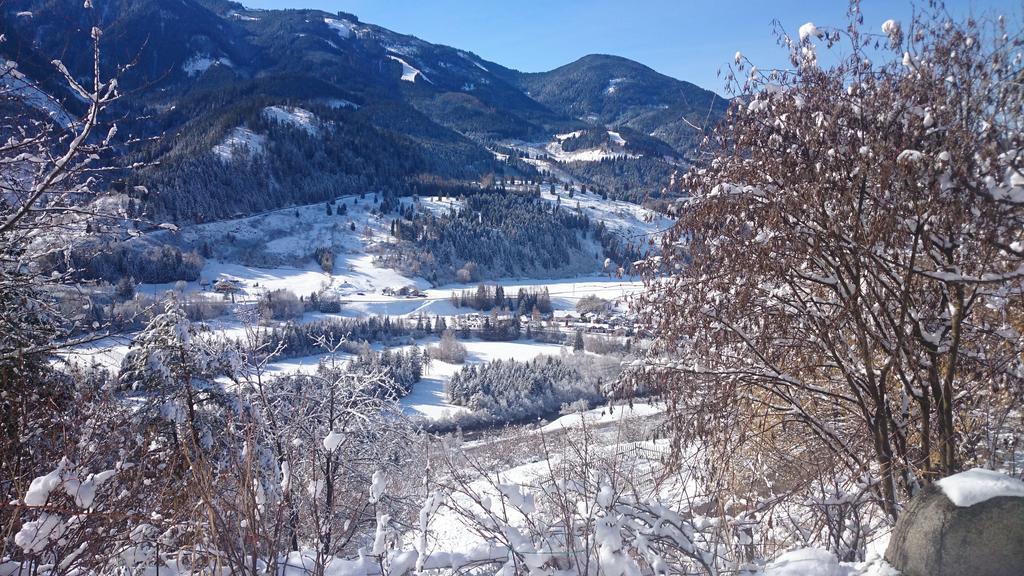 Agriturismo Maso Santa Libera Tesero Dış mekan fotoğraf